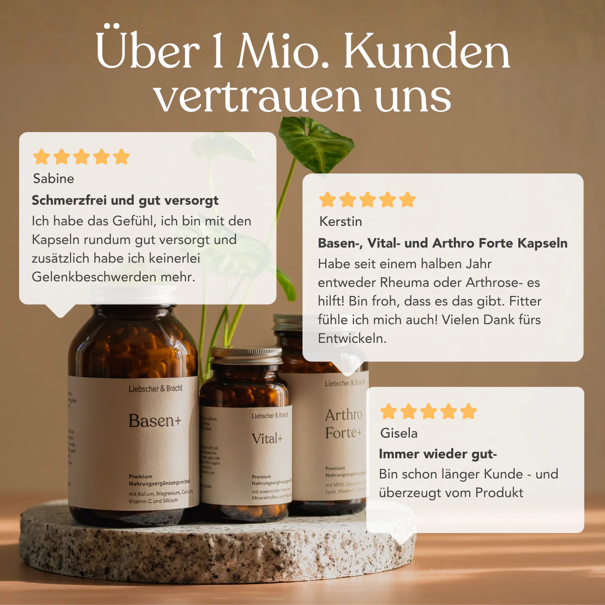 Vorschaubild 13