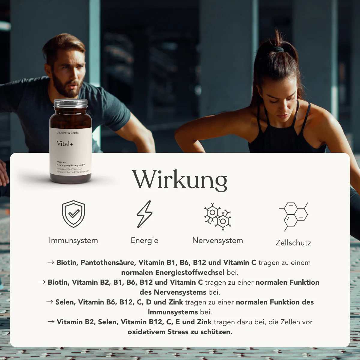 Vorschaubild 8