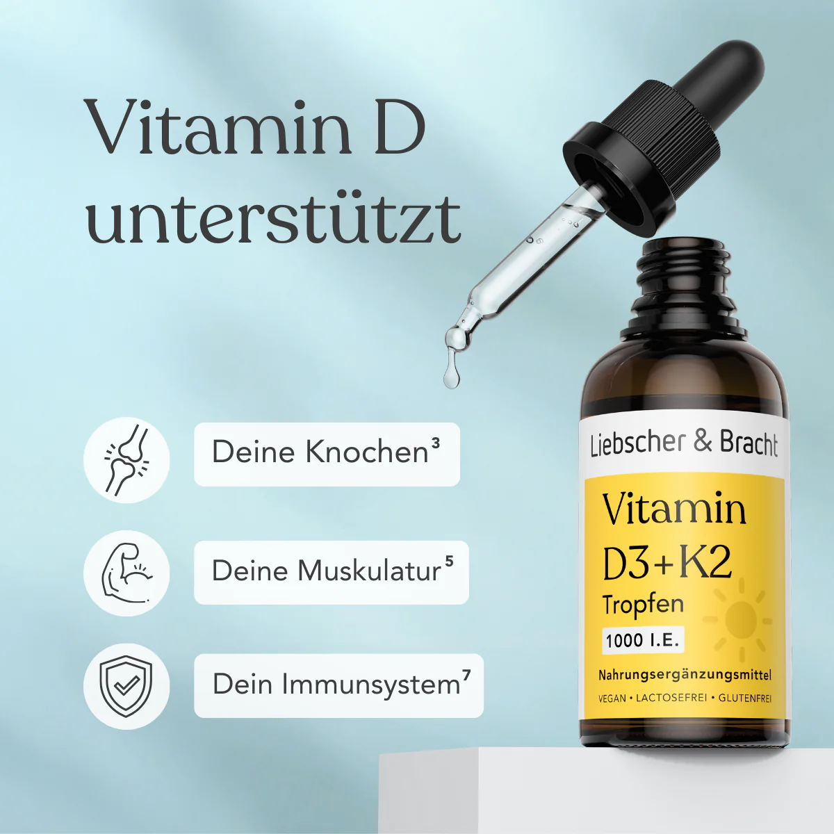 Vorschaubild 7